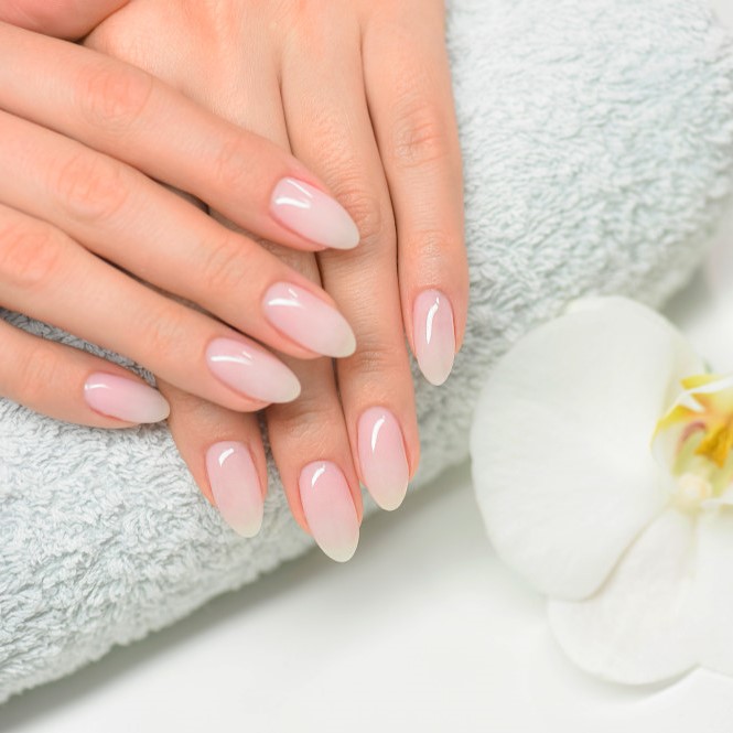 Gel builder